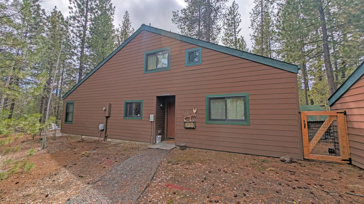 This exterior shot features the front entrance of the cabin with large windows and beautiful natural surroundings, including mature trees and open green space. The generous yard area hints at plenty of room for dogs to run and play, while the inviting entryway suggests a welcoming, pet-friendly retreat.