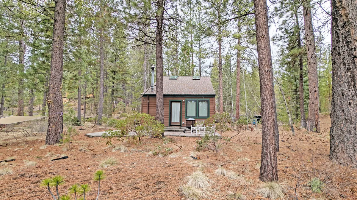 An exterior view of the cabin set against a backdrop of lush trees, highlighting the expansive patio area. The space is tranquil, emphasizing opportunities for relaxing, reading, or enjoying peaceful moments with loved ones in a secluded setting.