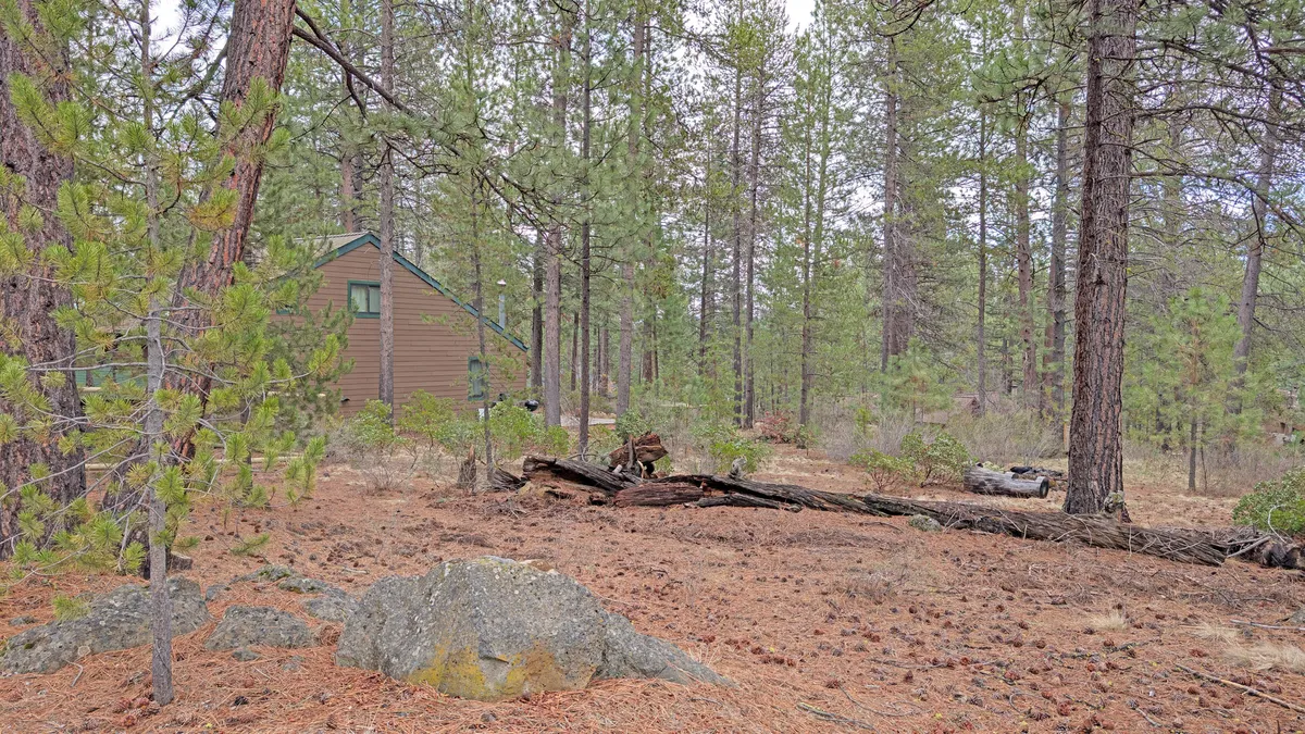 A serene exterior shot featuring a log pile and large rock near the cabin, surrounded by quiet woods. The composition evokes a peaceful, off-the-grid ambiance that invites outdoor activities like stargazing or enjoying morning coffee while enveloped by nature.