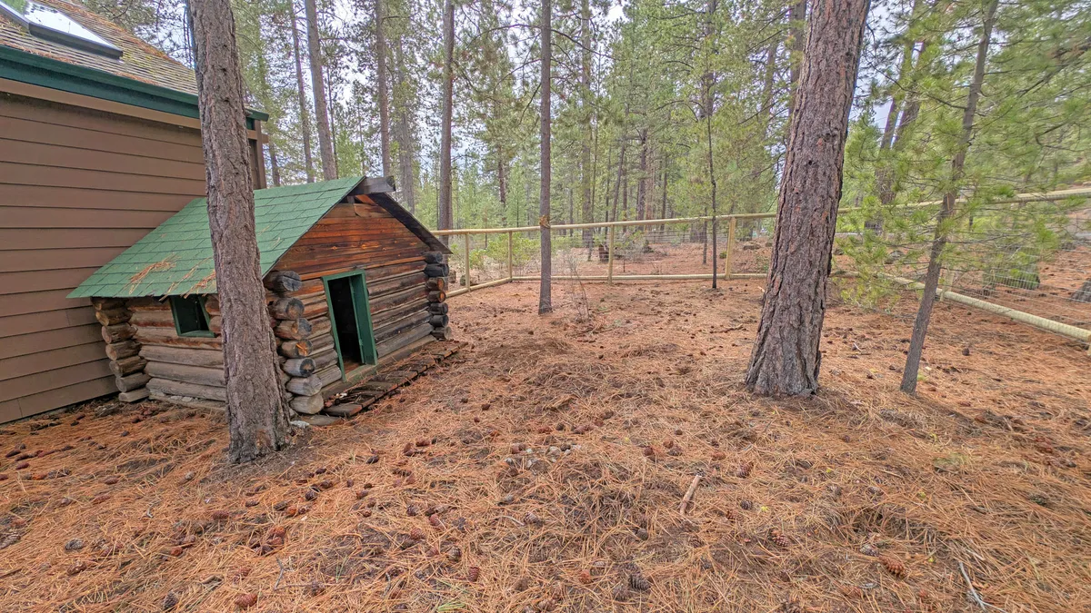 This exterior shot shows a small log cabin structure in a large, open yard bordered by trees. The spacious grassy area is ideal for pets to play, and the description suggests it could double as a dedicated pet or play area, enhancing the property’s family- and pet-friendliness.