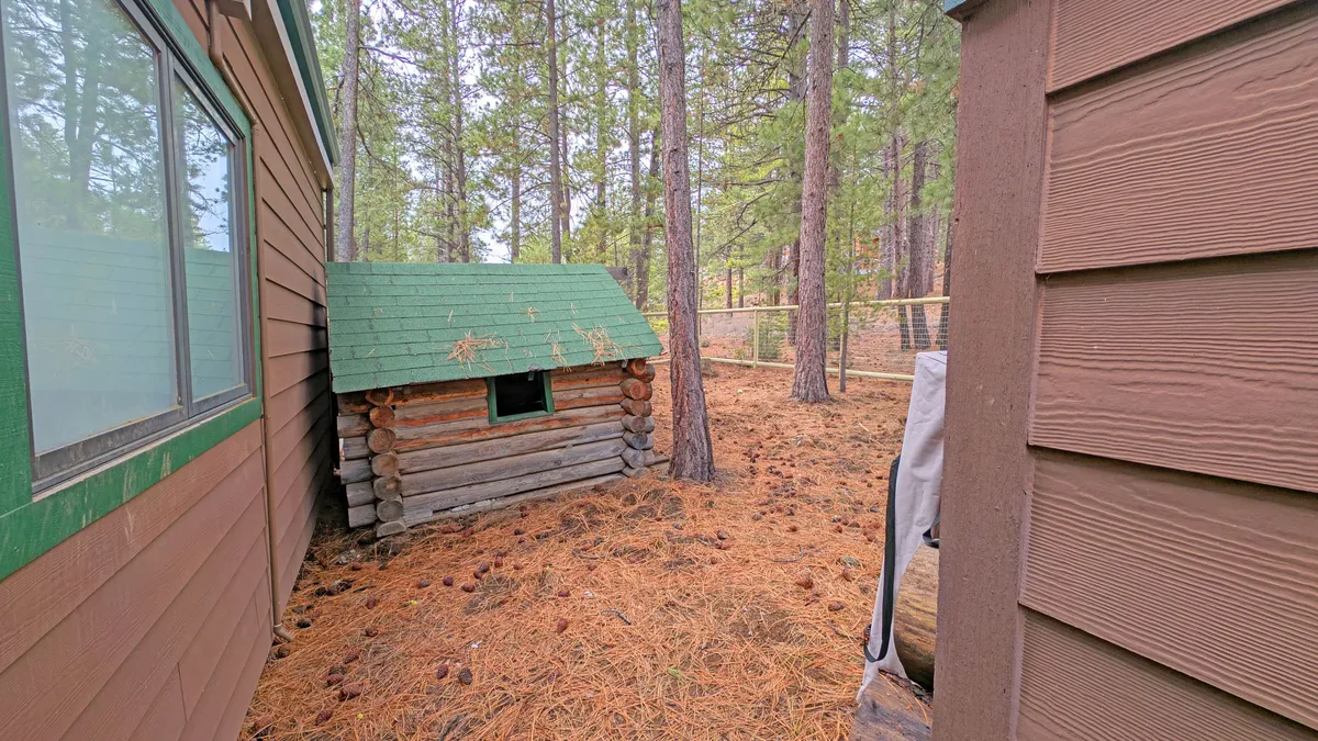 A log cabin nestled among surrounding trees and pine needles scattered on the ground. The view highlights the rustic charm and the naturally wooded environment enveloping the cabin.