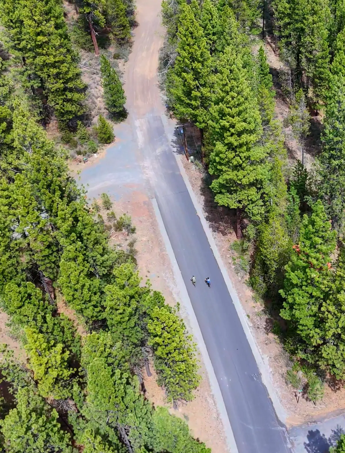 An exterior scene with a paved road winding through lush green trees, where cyclists are out enjoying the serenity of nature. The image evokes a sense of adventure and access to outdoor activities right from the property.