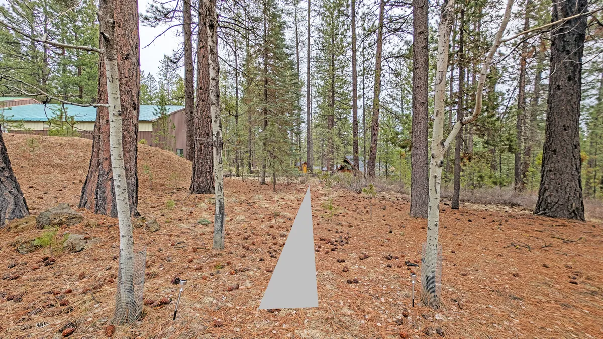 A sun-dappled forest pathway winds through tall trees, creating a serene and inviting route. The absence of visible buildings or people emphasizes privacy and seclusion, while the filtered sunlight adds warmth and tranquility.